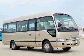 الحافلة الكهربائية HFF6700BEV